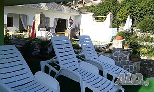 image_34