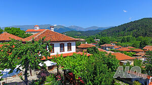 image_7