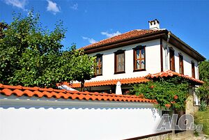 image_11