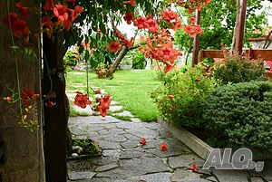image_12
