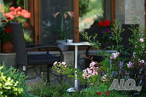 image_22