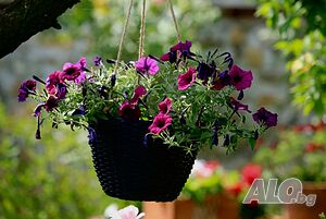 image_31