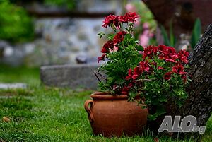 image_36