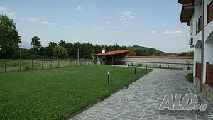 image_7