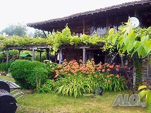 image_8
