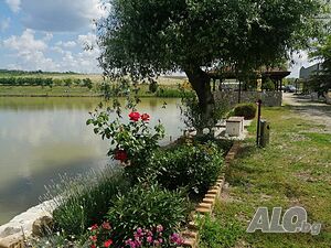 image_6