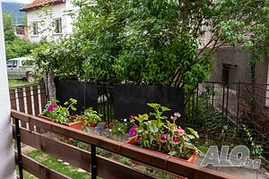 image_31
