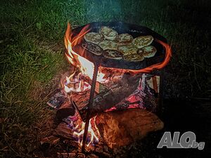 image_29