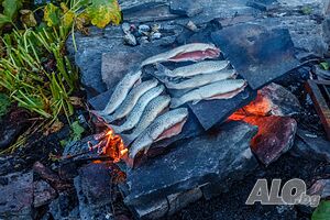 image_28