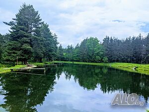 image_17