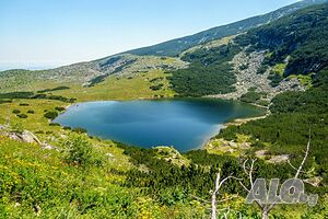 image_18