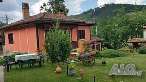 image_16