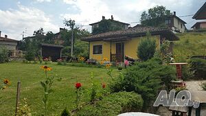 image_19
