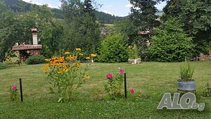 image_21