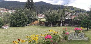image_24