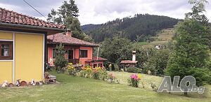 image_25