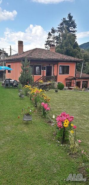image_33