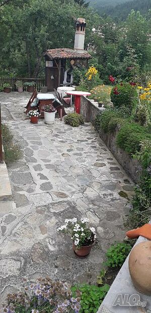 image_36
