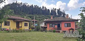 image_39