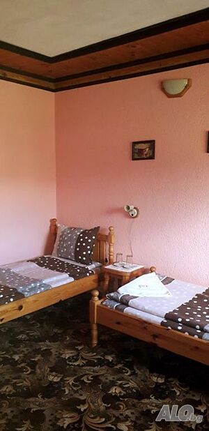 image_42