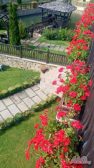image_22