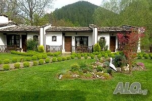 image_25