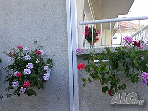 image_12