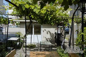 image_15
