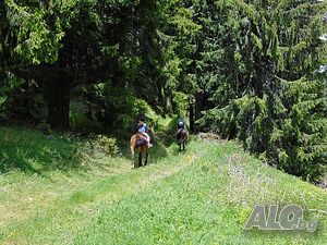 image_31