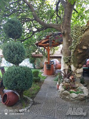 image_33