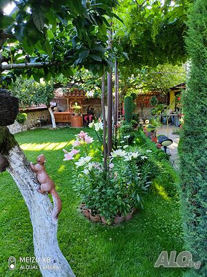 image_34
