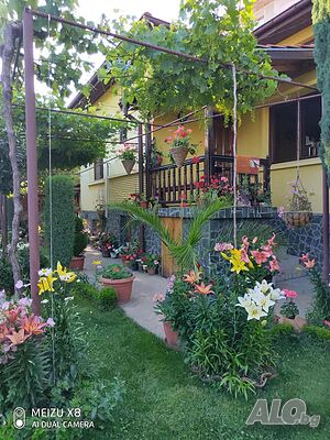 image_35
