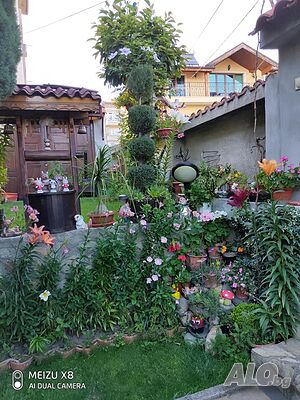 image_36