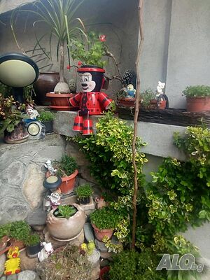 image_41