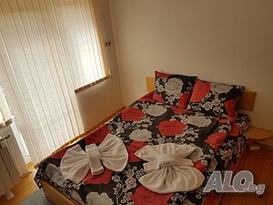 image_11