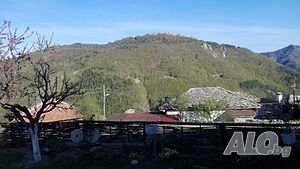 image_14