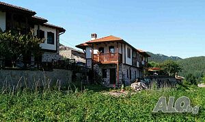 image_19