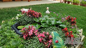image_6