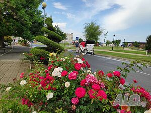 image_20
