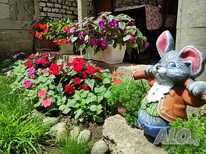image_35