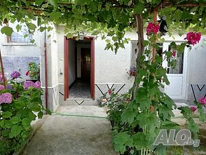 image_6