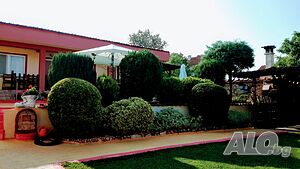 image_7