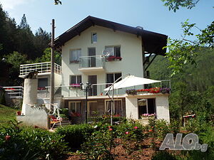 image_5