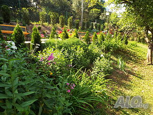 image_7