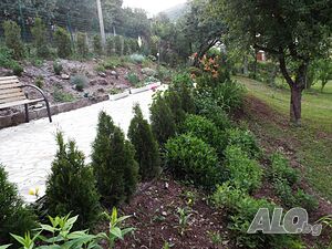 image_10