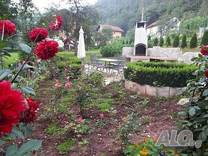 image_11