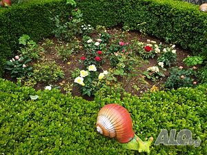 image_24