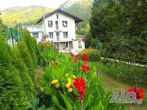 image_28
