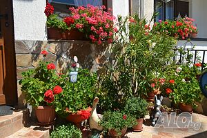 image_24