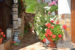 image_25